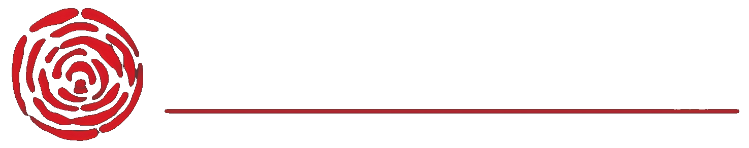 van-lieshout-elektra-logo_witte-tekst_transparant